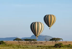 Hot Air Balloon 