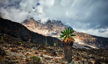 kilimanjaro climb