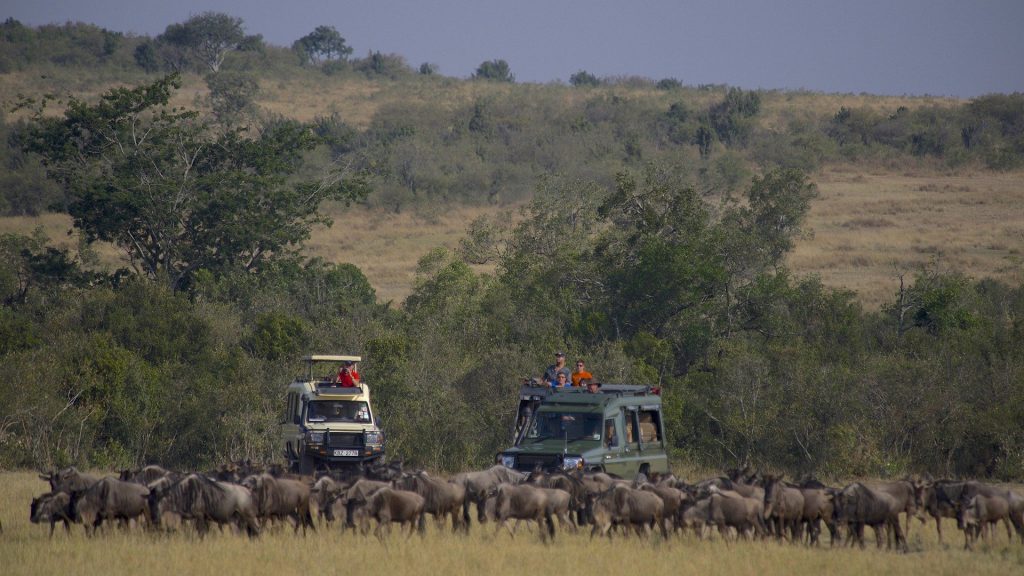 tanzania safari tours- 3days 2nights tarangire and ngorongoro Once you have reached the crater rim, you will drive down a steep track into the 600 m deep caldera to see a range of animals and birds. After an extensive game drive and a picnic lunch in the crater, you will return to Arusha, where you will arrive in the early evening.